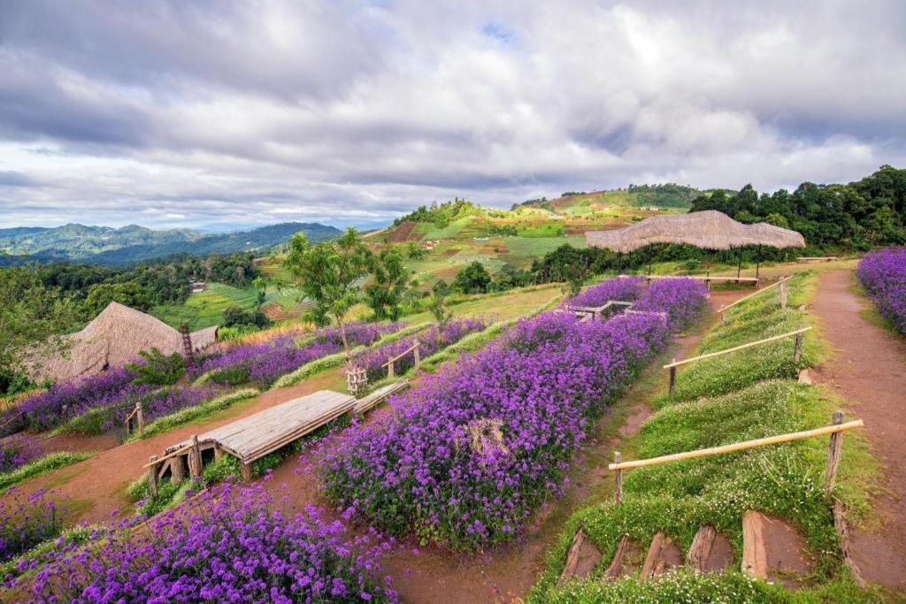 The Doi Moncham Hotel Chiang Mai Luaran gambar