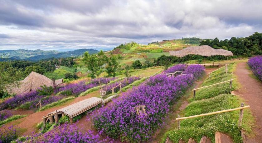 The Doi Moncham Hotel Chiang Mai Luaran gambar